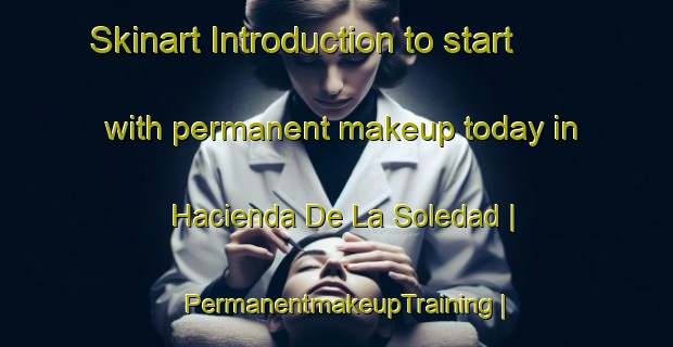 Skinart Introduction to start with permanent makeup today in Hacienda De La Soledad | PermanentmakeupTraining | PermanentmakeupClasses | SkinartTraining-Spain